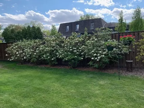 Exterior - 117 Cheltenham Dr, Normal, IL 61761 photo 13 of 14