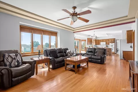 Living - 23661 W Cotswald Dr, Plainfield, IL 60585 photo 4 of 4