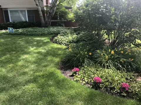 Exterior - 9237 Hamlin Ave, Evanston, IL 60203 photo 8 of 12