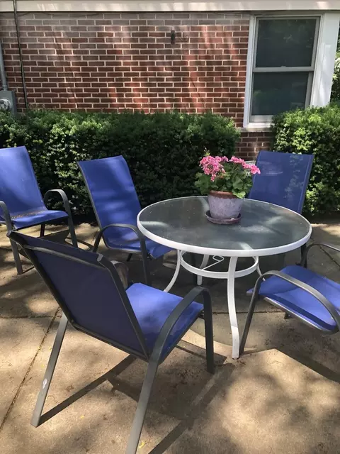 Exterior - 9237 Hamlin Ave, Evanston, IL 60203 photo 9 of 12