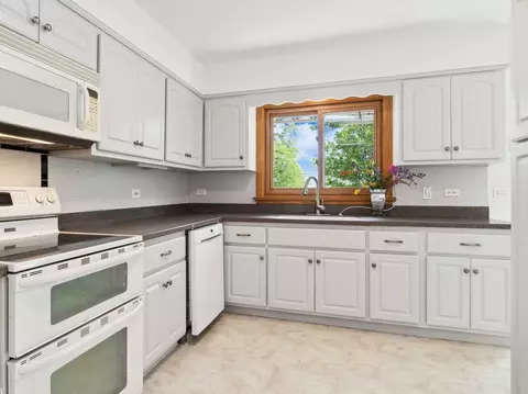 921 S Spring Rd, Elmhurst, IL 60126 photo 4