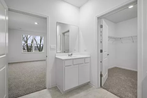 25513 W Veranium Dr, Plainfield, IL 60544 photo 11