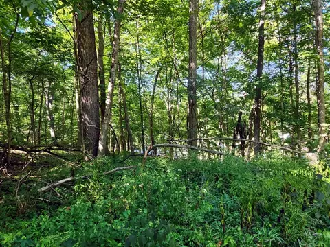lot1661 Jasper Ct, Varna, IL 61375