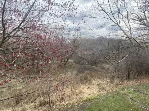 179 Grove Ave #2C, Des Plaines, IL 60016 photo 4