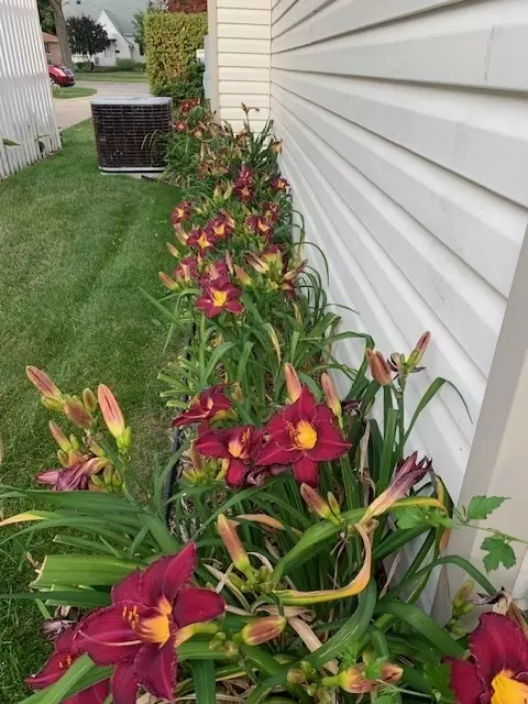 Exterior - 411 Ingleside Ave, Aurora, IL 60506 photo 7 of 9