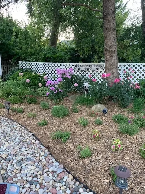 Exterior - 411 Ingleside Ave, Aurora, IL 60506 photo 6 of 9