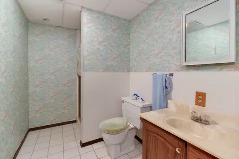 105 Pieper Cir, Delavan, IL 61734 photo 21