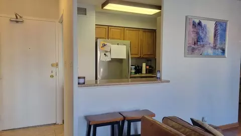30 Elm St #14F, Chicago, IL 60611 photo 6