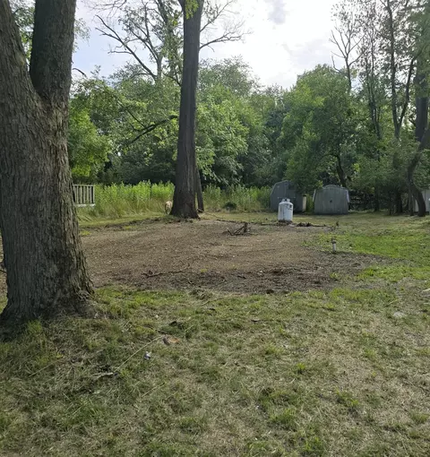 16159 Woodhaven, Sublette, IL 61367 photo 3
