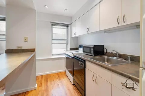 40 E 9th St #411, Chicago, IL 60605 photo 4