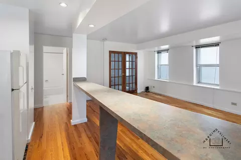 40 E 9th St #411, Chicago, IL 60605 photo 5