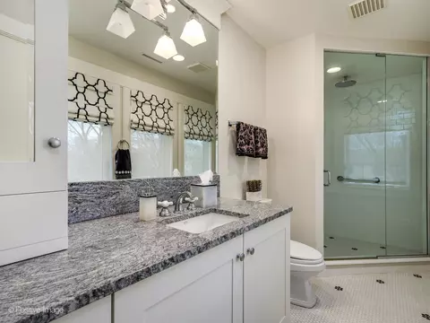 1345 William St, River Forest, IL 60305 photo 22