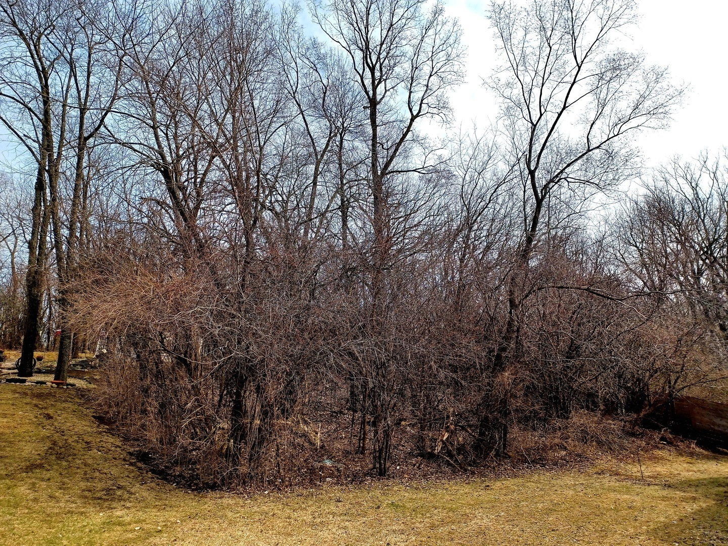 167 Cherry Ln  