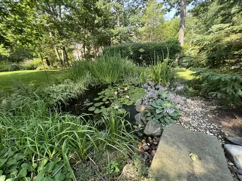 Exterior - 320 Belle Foret Dr, Lake Bluff, IL 60044 photo 10 of 11