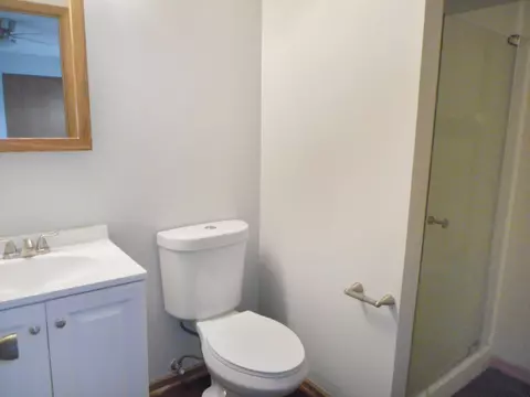 532 Shenandoah Trl, Elgin, IL 60123 photo 16