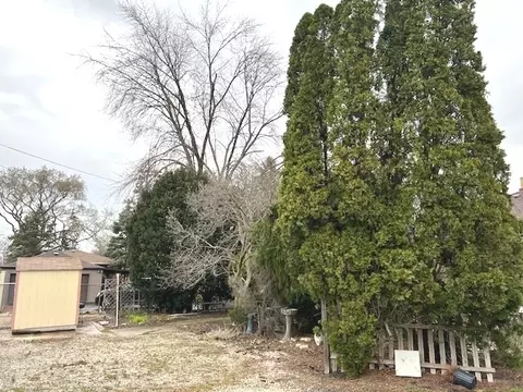 3036 Forest Ave, Brookfield, IL 60513 photo 5
