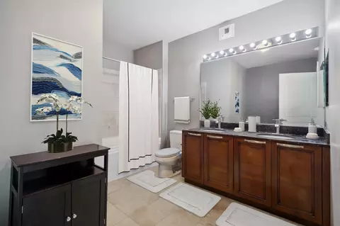 Bath - 450 E Waterside Dr #304, Chicago, IL 60601 photo 1 of 1