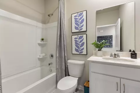 Bath - 140 Tiger Lily Ct, Bartlett, IL 60103 photo 3 of 3