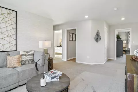 Living - 16124 S Crossing Dr, Plainfield, IL 60586 photo 4 of 4