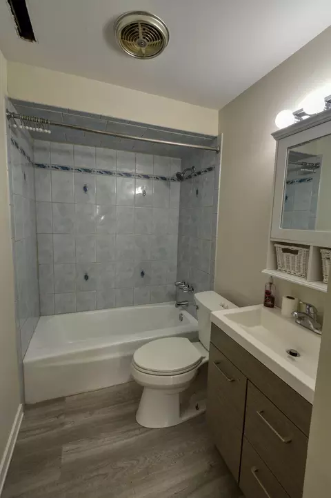 10 Willow Trl, Wheeling, IL 60090 photo 18