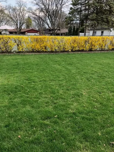 Exterior - 1913 E Seneca Ln, Mount Prospect, IL 60056 photo 6 of 7