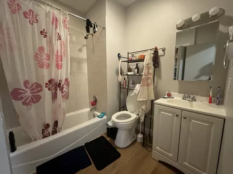 Bath - 4422 S Emerald Ave, Chicago, IL 60609 photo 1 of 2