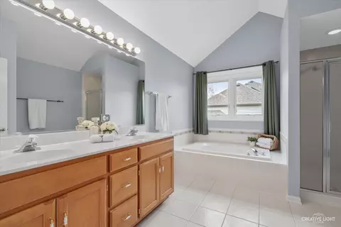 Bath - 3812 Grassmere Rd, Naperville, IL 60564 photo 2 of 4