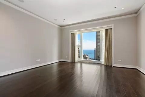 Other - 77 E Walton St #22B, Chicago, IL 60611 photo 4 of 7