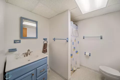 Bath - 183 Wilcox Dr, Bartlett, IL 60103 photo 3 of 3