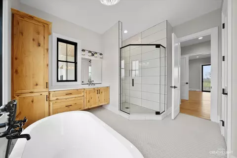 Bath - 4764 Minooka Rd, Minooka, IL 60447 photo 4 of 7