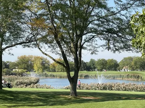 View/Area - 13353 Red Cedar Ln, Plainfield, IL 60544 photo 2 of 3