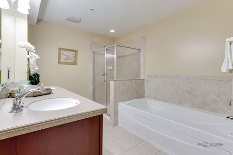 Bath - 153 Pointe Dr #108, Northbrook, IL 60062 photo 1 of 3