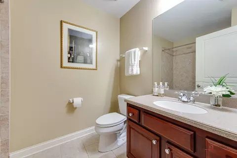Bath - 153 Pointe Dr #108, Northbrook, IL 60062 photo 3 of 3