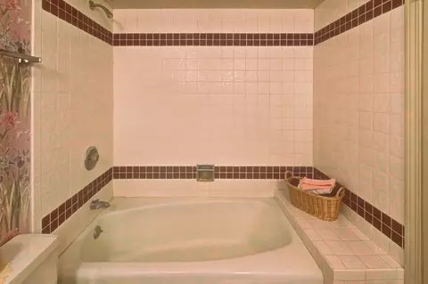 Bath - 20739 Brookwood Dr, Olympia Fields, IL 60461 photo 4 of 4
