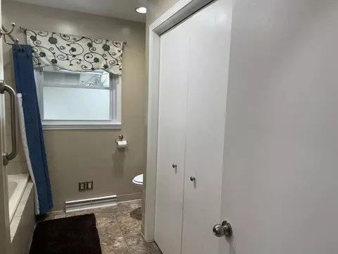 Bath - 210 N Pine St, Maroa, IL 61756 photo 3 of 5