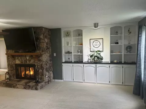Living - 210 N Pine St, Maroa, IL 61756 photo 3 of 8
