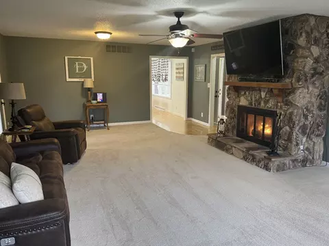 Living - 210 N Pine St, Maroa, IL 61756 photo 5 of 8