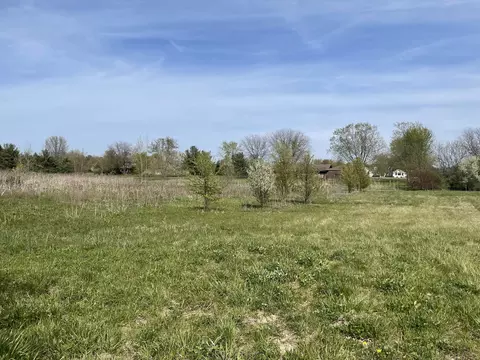 Lot 20 Anna Lane, Monee, IL 60449