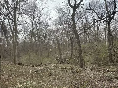View/Area - 14782 Norrish Rd, Morrison, IL 61270 photo 1 of 4