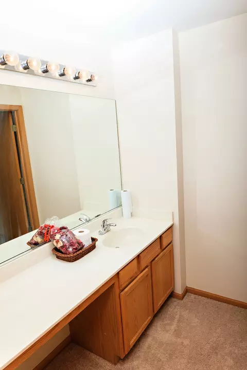 14404 Etchingham Dr, Lockport, IL 60441 photo 30