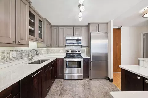 110 E Delaware Pl #1802, Chicago, IL 60611 photo 9