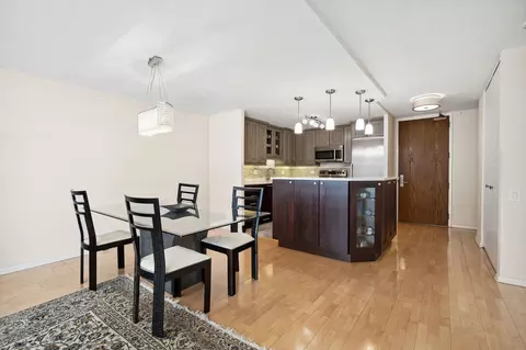 110 E Delaware Pl #1802, Chicago, IL 60611 photo 6
