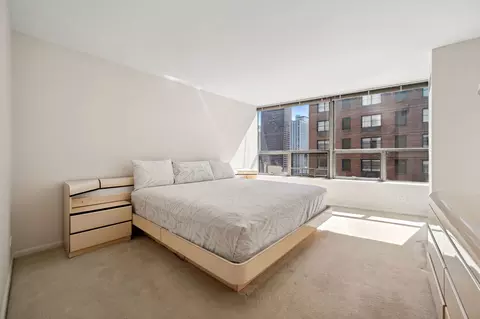 110 E Delaware Pl #1802, Chicago, IL 60611 photo 11