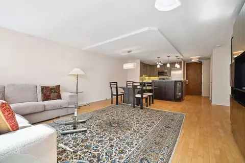 110 E Delaware Pl #1802, Chicago, IL 60611 photo 4