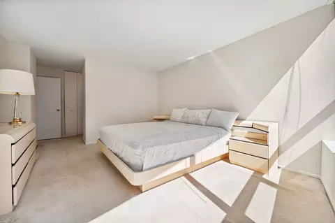 110 E Delaware Pl #1802, Chicago, IL 60611 photo 12