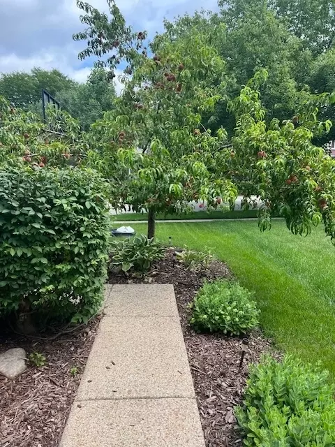 Exterior - 58 Ivanhoe Ln, Cary, IL 60013 photo 16 of 16