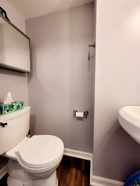 Bath - 1667 Valley Forge Ct #B, Wheaton, IL 60189 photo 3 of 4