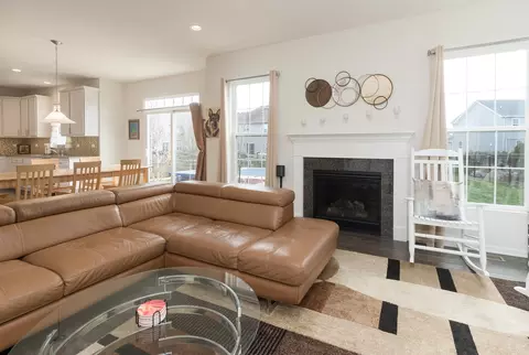 Living - 26409 W Red Apple Rd, Plainfield, IL 60585 photo 6 of 7