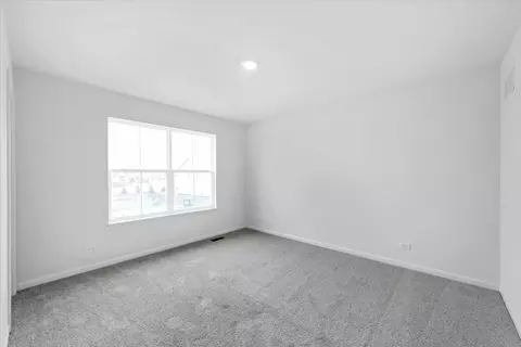 120 Sweetflag Cir, Elgin, IL 60124 photo 19