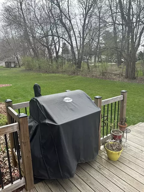 Exterior - 703 Elm St, Le Roy, IL 61752 photo 6 of 15